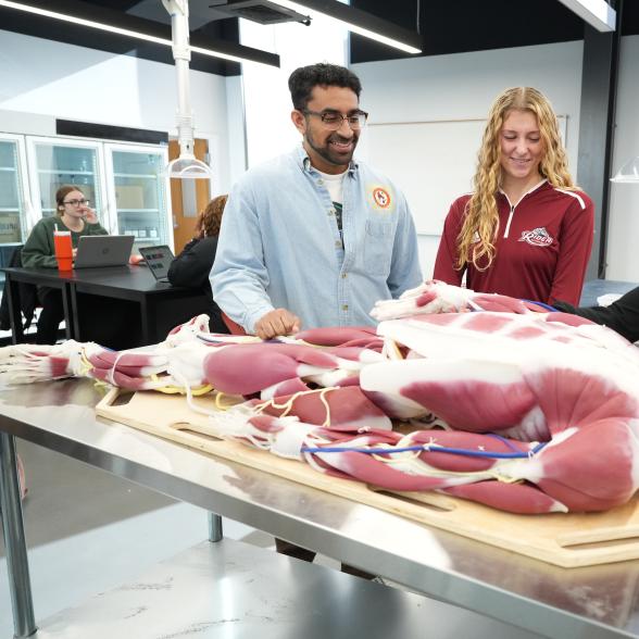 science students with a synthetic cadaver