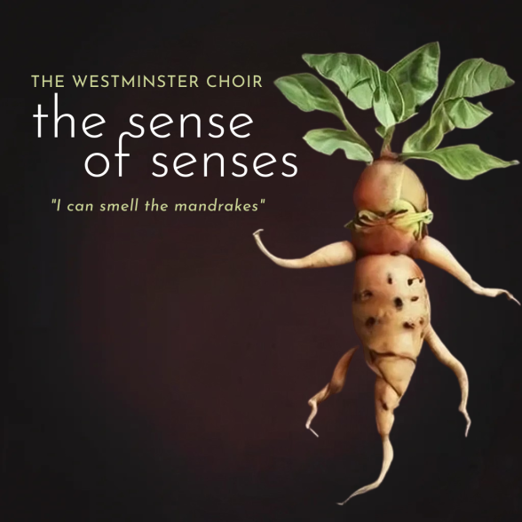 The Westminster Choir: the sense of senses